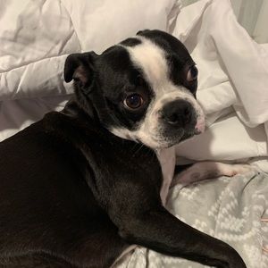 Meet your Posher, Aubree